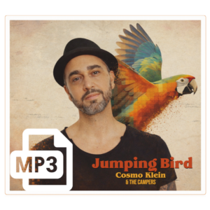 DOWNLOAD (MP3) // JUMPING BIRD // COSMO KLEIN AND THE CAMPERS